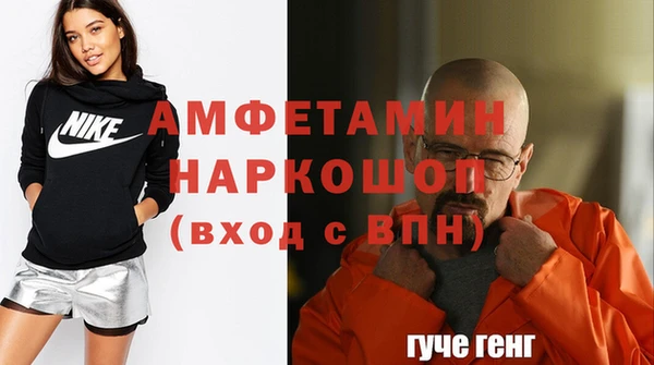 сатива Вяземский
