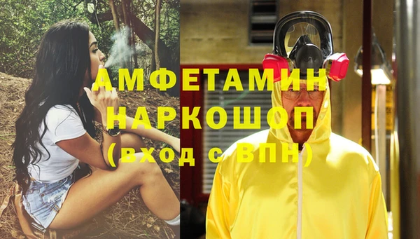 сатива Вяземский