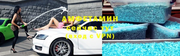 сатива Вяземский